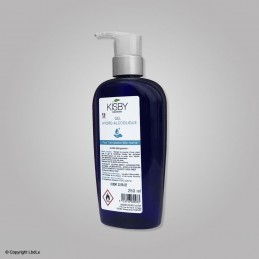 Gel hydroalcoolique bouteille 250 ml avec pompe  PROTECTIONS COVID-19 à 3,67 €