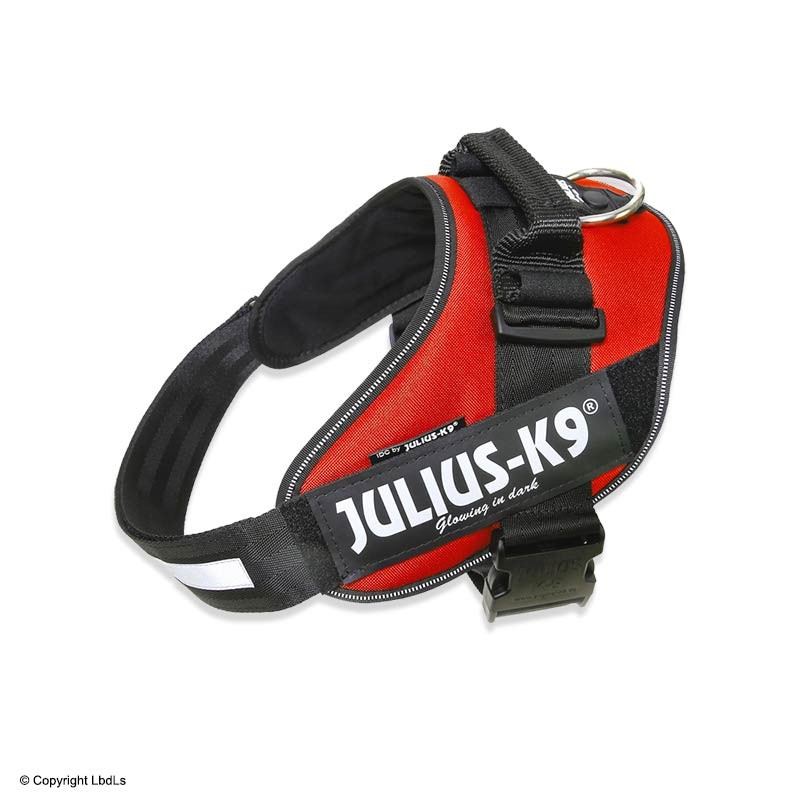 Harnais JULIUS-K9® Power, rouge pour chien