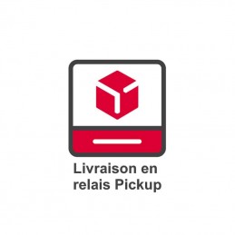 Livraison en point relais par DPD  ACCUEIL à 0,00 €