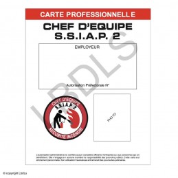 Carte PRO S.S.I.A.P. 2  BADGES ET CARTE PRO à 2,00 €