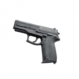 Pistolet d’entraînement type Sig Sauer  DÉFENSE à 42,60 €