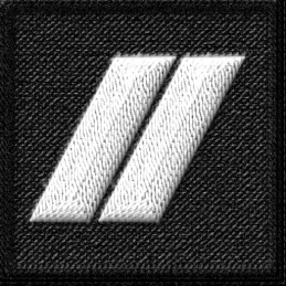 Grade de poitrine Gardien titulaire Police Nationale 2V  GRADES ET FOURREAUX à 2,70 €