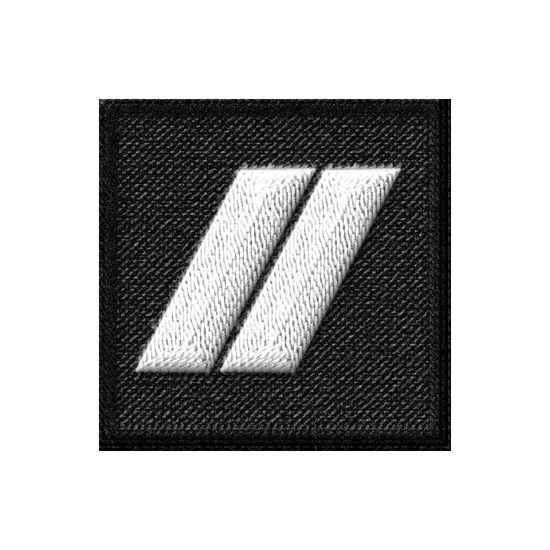 Grade de poitrine Gardien titulaire Police Nationale 2V  GRADES ET FOURREAUX à 2,70 €