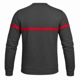Sweat SSIAP gris bande rouge brodé SECURITE INCENDIE LBDLS SSIAP VÊTEMENTS SSIAP à 21,00 €